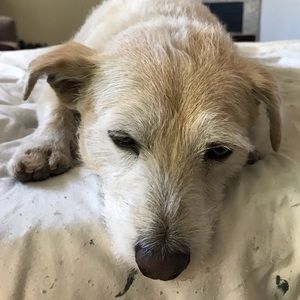 Meet your Posher, Anh